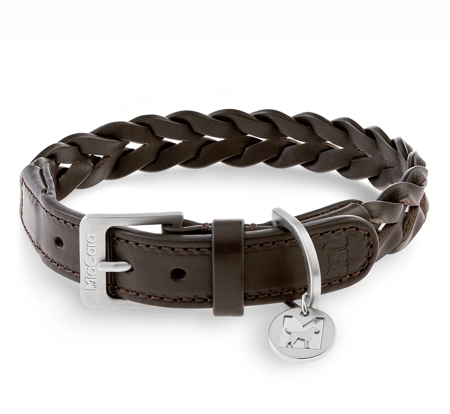 Highlight-Produkte Hund